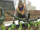 В Москву в середине недели южный ветер принесет летнее тепло В Москву в середине недели южный ветер принесет летнее тепло