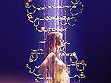 Ученые обнаружили "эффект бабушки", угрожающий рождению здоровых детей Ученые обнаружили "эффект бабушки", угрожающий рождению здоровых детей