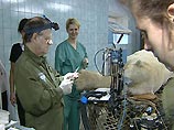 Зарубежные стоматологи удалили у белого медведя московского зоопарка два зуба