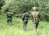 В Ножай-Юртовском районе Чечни разведгруппа федеральных сил уничтожила 6 боевиков