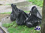 Трупы кошек были свалены в мусорных мешках на заднем дворе