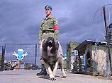 В российской армии растет число преступников и самоубийц, заявил главный военный прокурор В российской армии растет число преступников и самоубийц, заявил главный военный прокурор