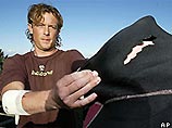 Британец кулаками отбился от акулы, укусившей его за задницу (ФОТО)