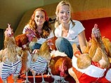 Дизайнеры из Австрии и Японии разработали одежду для куриц (ФОТО)