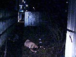 Взрыв и пожар в московской квартире - погибла женщина Взрыв и пожар в московской квартире - погибла женщина