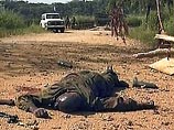 Британцы не хотят увеличивать помощь Африке - данные опроса Британцы не хотят увеличивать помощь Африке - данные опроса