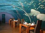 В отеле Hilton на Мальдивах во время трапезы с вас не будут спускать глаз акулы, скаты и прочие морские обитатели. Ведь первый в мире полностью остекленный ресторан расположен на глубине пяти метров на коралловом рифе. В ресторане всего 14 мест