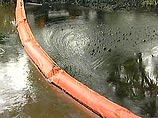 Экологическая катастрофа в Твери - концентрация нефтепродуктов в реке превышена в 140 раз
