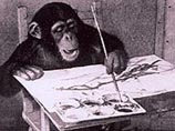 Картины шимпанзе Конго проданы за сумму, во много раз превышающую предполагаемую 