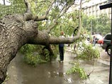 Более половины подмосковной Дубны обесточено из-за урагана