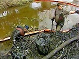 Ликвидацией последствий катастрофы в Тверской области занимаются сельчане. На очереди школьники Ликвидацией последствий катастрофы в Тверской области занимаются сельчане. На очереди школьники
