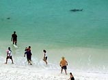 Инцидент произошел во время рыбалки. Крейг Хатто вместе с друзьями стоял по пояс в воде, когда хищница внезапно атаковала его. Подросток выжил лишь благодаря друзьям, которые отбили его у акулы, а также доктору, который оказался поблизости на берегу