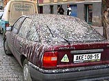 Ученые выяснили: птицы предпочитают гадить на белые машины Ученые выяснили: птицы предпочитают гадить на белые машины