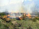 Как сообщили "Интерфаксу" в четверг, 15 пожаров зарегистрировано в Хабаровском крае, девять - в Приморье, пять - в Республике Саха (Якутия), по два - на Сахалине и Камчатке. Пять пожаров отнесены к категории крупных