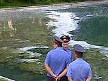 Природоохранная прокуратура Москвы возбудила уголовное дело по факту загрязнения Верхнего Красногвардейского пруда в столице Природоохранная прокуратура Москвы возбудила уголовное дело по факту загрязнения Верхнего Красногвардейского пруда в столице