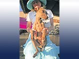 Самой уродливой собакой планеты признан 14-летний пес Сэм из Калифорнии (ФОТО)