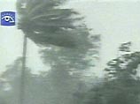 Свирепствующий в Карибском море ураган Dennis прошел в пятницу над Кубой, унеся 10 человеческих жизней, и движется к побережью США