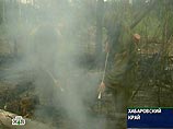 В Дальневосточном округе зафиксированы 75 лесных пожаров