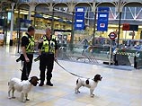 Седьмого июля в Лондоне почти одновременно произошли три взрыва в поездах метро и один в автобусе. По последним данным, в результате терактов погибло 52 и ранено свыше 700 человек. Около 25 человек считаются пропавшими без вести
