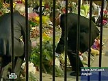 Реклама дублинской авиакомпании, посвященная терактам, вывела лондонцев из себя Реклама дублинской авиакомпании, посвященная терактам, вывела лондонцев из себя