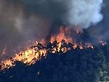 Жертвами лесного пожара в Испании стали 11 человек