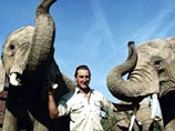 В его команде семь слонов, которые принадлежат питомнику Плачов