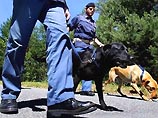 Правительство Италии приняло комплекс срочных мер по противодействию терроризму Правительство Италии приняло комплекс срочных мер по противодействию терроризму