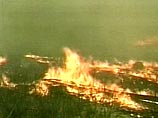 Иркутскую область охватили лесные пожары