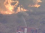 В окрестностях Афин бушует лесной пожар: 2 пострадавших