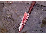 Подозреваемый, 1984 года рождения, на улице нанес ножевое ранение пожилой женщине и попытался попробовать кровь жертвы на вкус