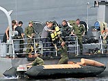 На военно-морском параде в Петербурге едва не утопили сторожевой корабль "Неукротимый"