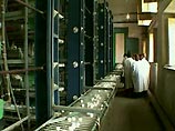 Тюменская область стала четвертым регионом России, куда проник "птичий грипп" Тюменская область стала четвертым регионом России, куда проник "птичий грипп"