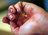 Армии был дан строжайший приказ не открывать ответный огонь Армии был дан строжайший приказ не открывать ответный огонь