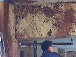 В Турции в результате ракетного обстрела здания пограничного жандармского командования в юго-восточной провинции Хаккяри погибли 5 и ранены 7 военнослужащих В Турции в результате ракетного обстрела здания пограничного жандармского командования в юго-восточной провинции Хаккяри погибли 5 и ранены 7 военнослужащих