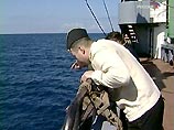 Экипаж батискафа коротко доложил наверх, что все живы Экипаж батискафа коротко доложил наверх, что все живы