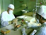В России людей, заболевших "птичьим гриппом", не выявлено