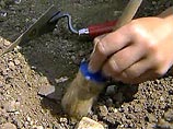 Ученые обнаружили на Кольском полуострове следы древней цивилизации Ученые обнаружили на Кольском полуострове следы древней цивилизации