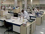 Открытие принадлежит группе ученых из Plymouth Marine Laboratory и Sanger Institute в Кембридже. Им удалось полностью расшифровать геном этого вируса, самого большого из поражающих водоросли Открытие принадлежит группе ученых из Plymouth Marine Laboratory и Sanger Institute в Кембридже. Им удалось полностью расшифровать геном этого вируса, самого большого из поражающих водоросли