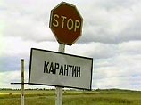 Руководство птицефабрики на Алтае скрыло появление "птичьего гриппа" - начато следствие Руководство птицефабрики на Алтае скрыло появление "птичьего гриппа" - начато следствие
