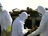 Между тем с начала эпидемии "птичьего гриппа" в Сибирском и Приволжско-Уральском регионах погибло и уничтожено около 140 тысяч птиц Между тем с начала эпидемии "птичьего гриппа" в Сибирском и Приволжско-Уральском регионах погибло и уничтожено около 140 тысяч птиц