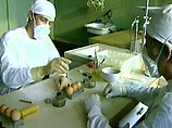 В Тверской области усилены меры по предотвращению "птичьего гриппа", сообщили "Интерфаксу" в пресс- центре областной администрации В Тверской области усилены меры по предотвращению "птичьего гриппа", сообщили "Интерфаксу" в пресс- центре областной администрации