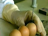 Собеседник агентства отметил, что администрация Тверской области намерена осуществлять жесткий контроль за розничной торговой сетью, реализующей мясо птицы Собеседник агентства отметил, что администрация Тверской области намерена осуществлять жесткий контроль за розничной торговой сетью, реализующей мясо птицы