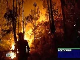 Число погибших в Португалии от лесных пожаров достигло 15 человек