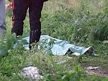 По данным пресс-службы прокуратуры Челябинской области, в июне 2004 года и в июле 2005 года в лесу у Красного Поля были обнаружены трупы 43-летней и 66-летней женщин. Возбужденные по данным фактам уголовные дела до сих пор оставались нераскрытыми