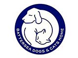 Сеть из трех британских приютов для кошек и собак Battersea Dogs & Cats Home собирается устроить распродажу четвероногих друзей богатых и знаменитых