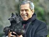 В Белом доме при нынешнем президенте США Джордже Буше живут 23 собаки