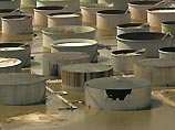Главным последствием урагана может стать глобальный экономический кризис Главным последствием урагана может стать глобальный экономический кризис