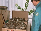 Контрабандистам птиц из Кубы в США грозит до 2 лет тюрьмы и штраф более 1 млн долларов Контрабандистам птиц из Кубы в США грозит до 2 лет тюрьмы и штраф более 1 млн долларов