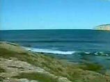 40-летний Джек Херон занимался серфингом у побережья полуострова Эйр в штате Южная Австралия, когда на него напала большая белая акула. В это время двое его детей находились на берегу и с ужасом вынуждены были наблюдать за происходящим
