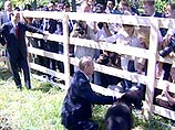 четвероногие друзья главы Кремля мелькают на голубом экране все чаще четвероногие друзья главы Кремля мелькают на голубом экране все чаще